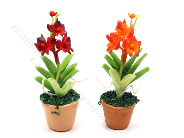 (image for) Miniature Cattleya Orchid in Pot for Dollhouses