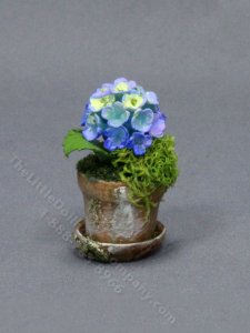 (image for) Miniature Blue Hydrangea in a Mossy Pot