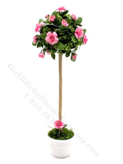 (image for) Miniature Rose Tree in Vase