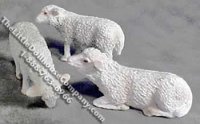(image for) Dollhouse 1/2 Scale Model Sheep 1/pk