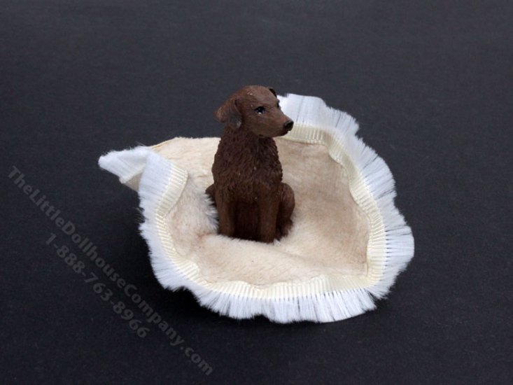 (image for) Miniature Chesapeake Bay Retriever on Scrunched Carpet