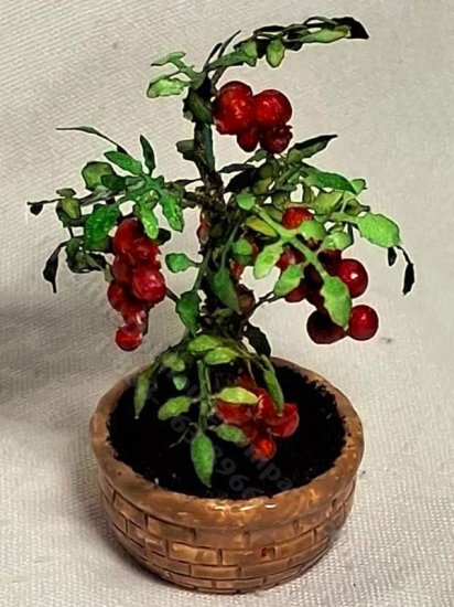 (image for) Miniature Tomato Leaves Kit
