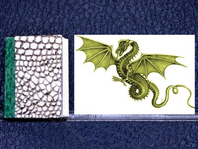 (image for) Miniature Book: 'Dragons: A Natural History'