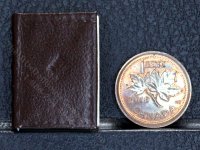 (image for) Miniature Book: 'Celestial Charts'
