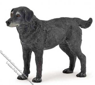 (image for) Miniature Cassis Lapdog for Dollhouses