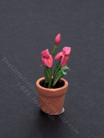 (image for) Miniature Potted Orchids for Dollhouses