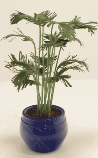 (image for) Parlour Palm Tree by Mini Creations by Judy