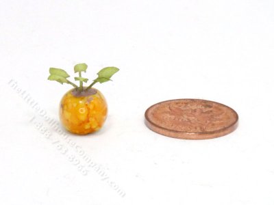 (image for) Handmade Miniature 1/4 Scale Anubias Plant in Yellow Vase