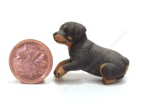 (image for) Miniature Sitting Rottweiler Puppy by Karl Blindheim