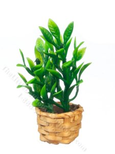 (image for) Miniature Bamboo Plant in a Basket