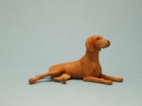 (image for) Miniature Laying Smooth-Haired Red Vizsla by Karl Blindheim