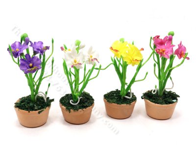 (image for) Miniature Vanda Miss Joaquim Orchid in Pot for Dollhouses