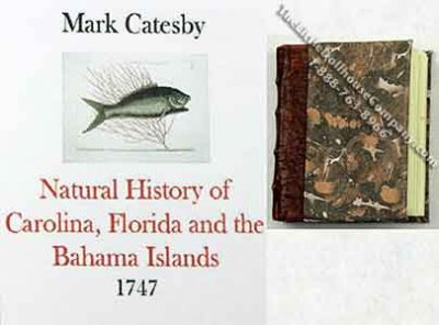 (image for) Natural History of Carolina, Florida and the Bahama Islands