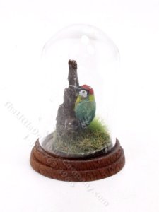(image for) Miniature Woodpecker Under Dome for Dollhouses