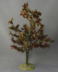 (image for) Red Maple Tree