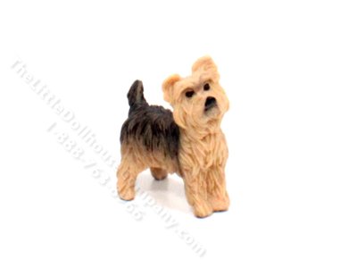 (image for) Miniature Yorkshire Terrier for Dollhouses