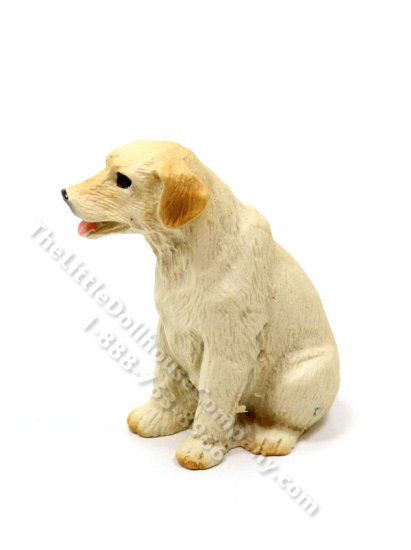 A generic image