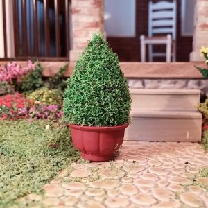 (image for) Miniature 1-1/2" Spruce Tree Topiary in Terracotta Pot 1:48