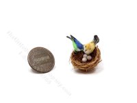 (image for) Miniature Birds in Nest with Eggs