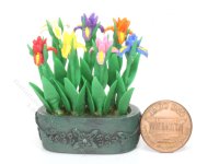 (image for) Miniature Oblong Pot of Colorful Lilies