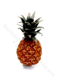 (image for) Miniature Pineapple by Charlotte Willmott of Mouse House