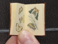(image for) Miniature 'A Naturalist’s Repository of Exotic Natural History'
