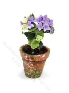 (image for) Miniature Purple Hydrangea in a Pot