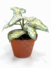(image for) Miniature Handmade Chinese Evergreen Plant for Dollhouses