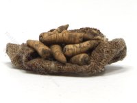 (image for) Miniature Flat Sack of Parsnips by Charlotte Willmott