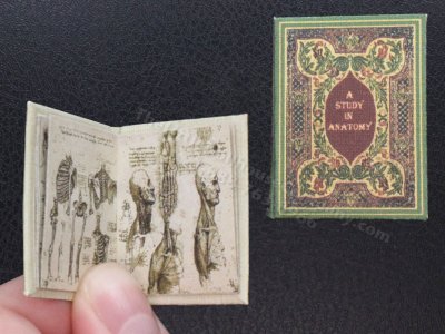 (image for) Miniature Book: Study in Anatomy