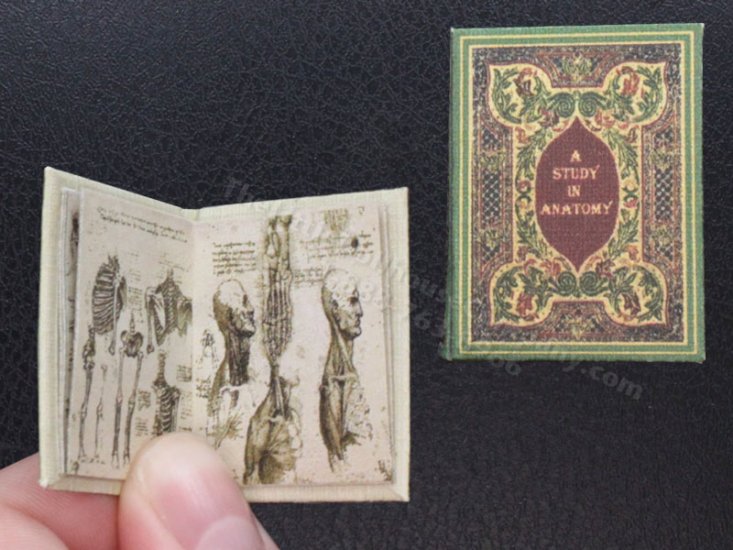 (image for) Miniature Book: Study in Anatomy