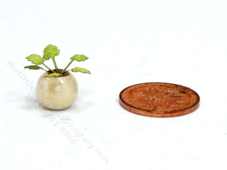 (image for) Handmade Miniature 1/4 Scale Clover Plant in Cream Vase