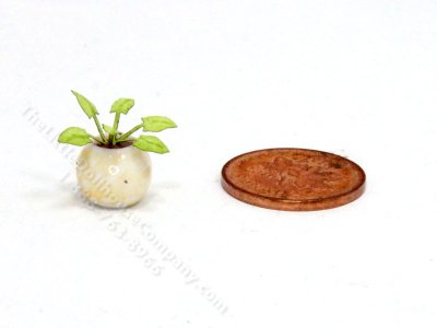 (image for) Handmade Miniature 1/4 Scale Anubias Plant in Cream Vase