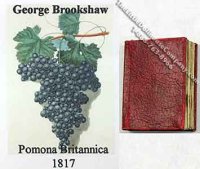 (image for) Miniature Book: 'Pomona Britannica'