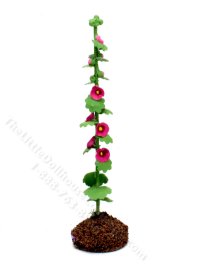 (image for) Miniature Single Hollyhock in Soil, Mini Creations by Judy