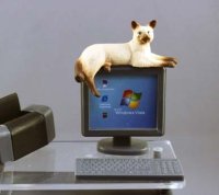 (image for) Dollhouse Scale Model Laying Siamese Cat