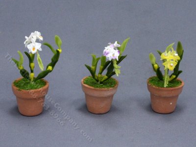 (image for) Miniature Potted Orchids for Dollhouses