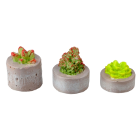 (image for) Round Trio Succulent Planters