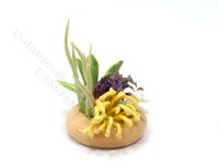 (image for) Vintage Miniature Succulent Floral Arrangement for Dollhouses