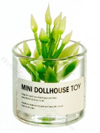 (image for) Miniature Plant in a Glass Jar