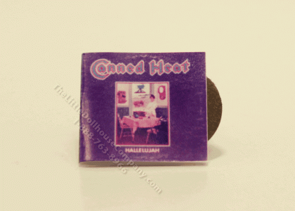 (image for) Miniature Record with Cover