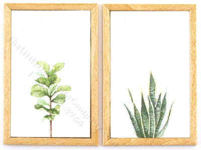(image for) Miniature Pair Framed Snake Plant and Fiddle Fig on Wood