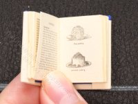(image for) Miniature Book: 'Country Fare'