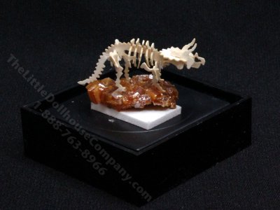 (image for) Miniature Triceratops Skeleton for Dollhouses