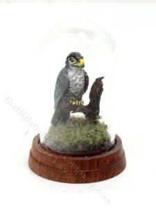 (image for) Miniature Falcon Under Dome for Dollhouses