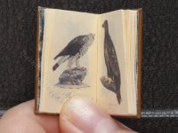 (image for) Miniature Book: 'Book of Birds'