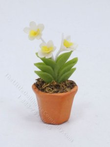 (image for) Miniature Potted White Cattleya Orchids for Dollhouses