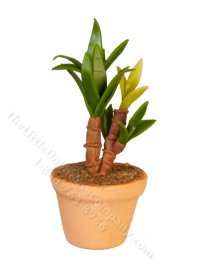 (image for) Miniature Potted Plant for Dollhouses
