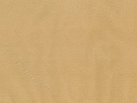 (image for) Beige Carpet for your Dollhouse 18" x 24"