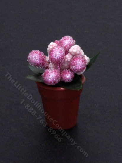 (image for) Miniature Pink Plant in Terra Cotta Pot